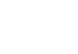 tenderly-logo